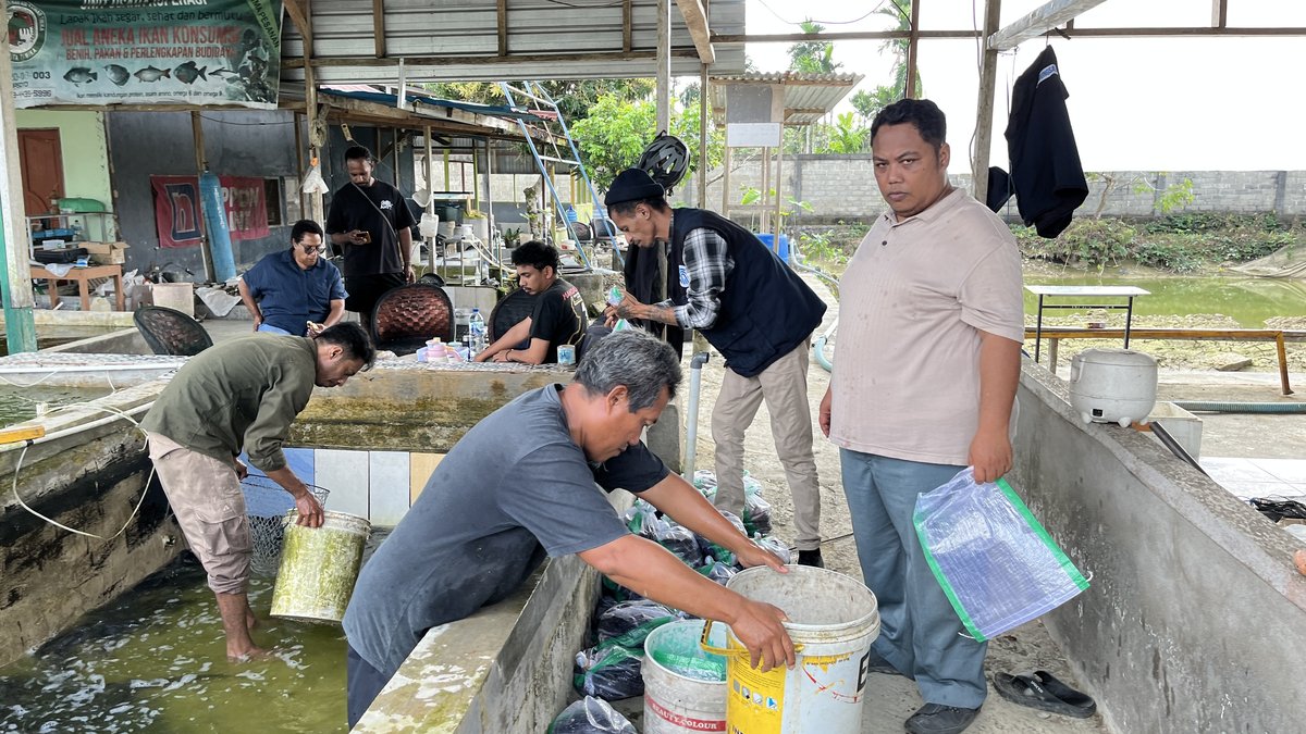 Penimbangan Ikan